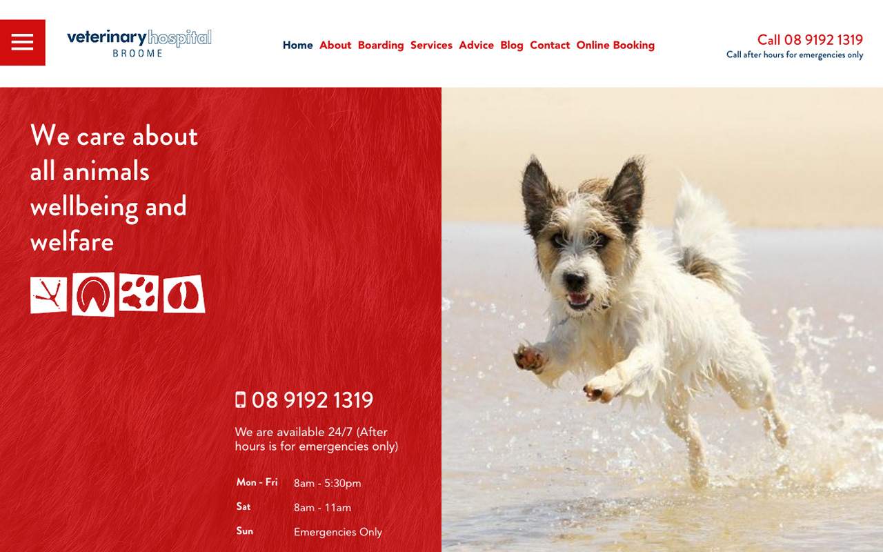 homepage of the broome vet website