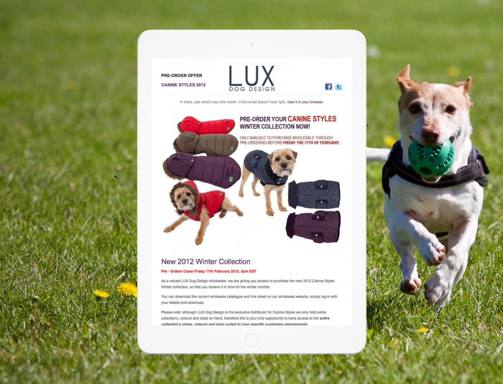 LUX Dog Design Newsletter
